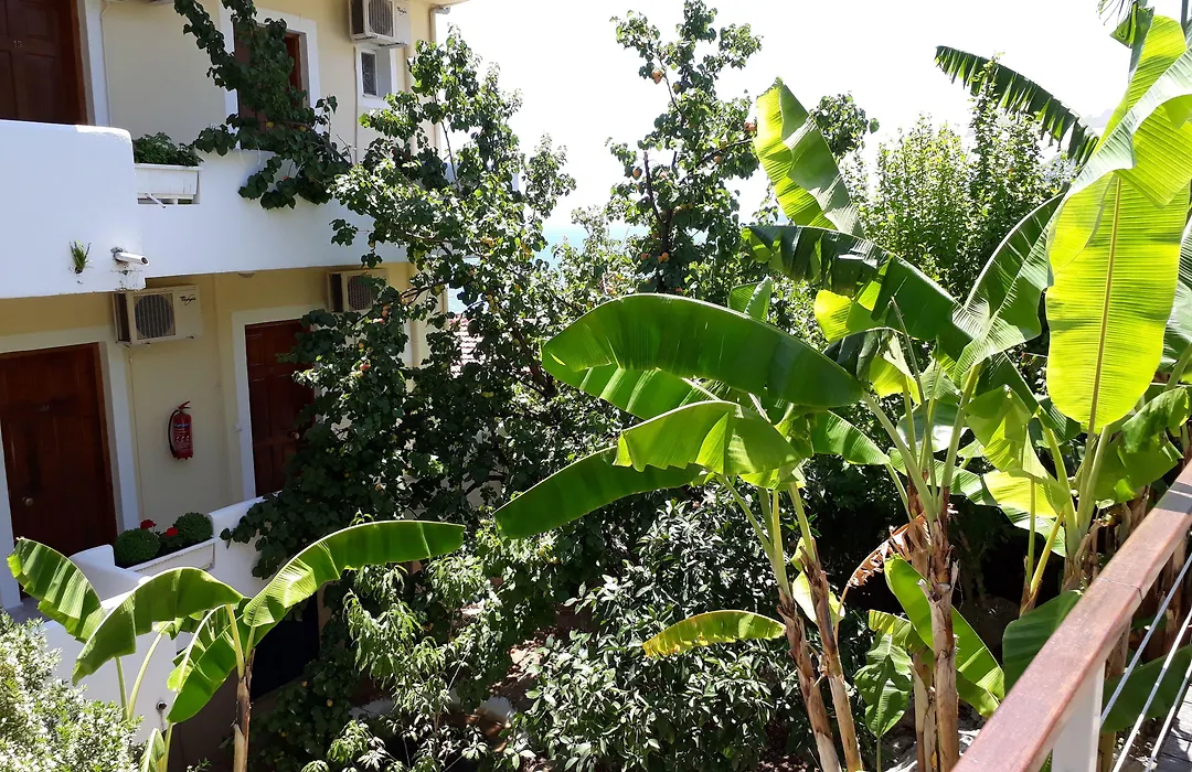 La Casa Di Nonna Anna-1