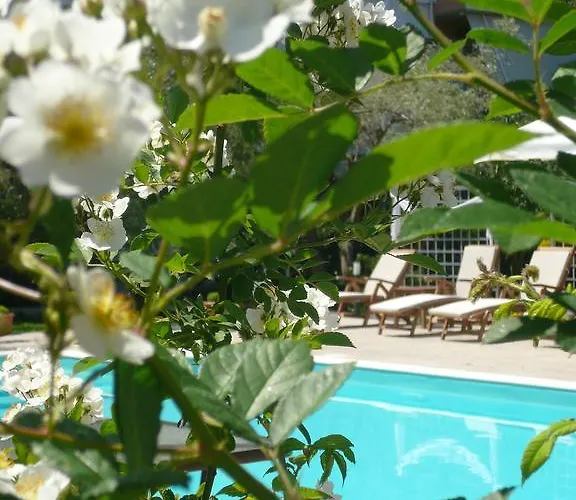 Lefkada Spa Resorts